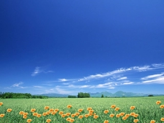 人教版小学数学三年级上册《数学广角》教学课件