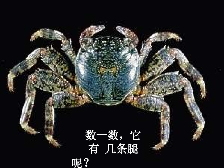 8的乘法口诀课件_第3页