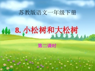 《小松树和大松树》课件