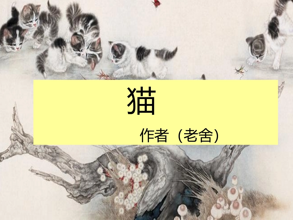 第十五课猫PPT课件_第3页