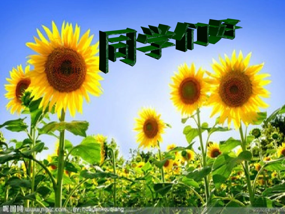 《花钟》课件._第1页