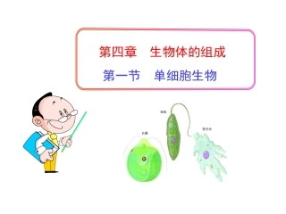 第一节--单细胞生物