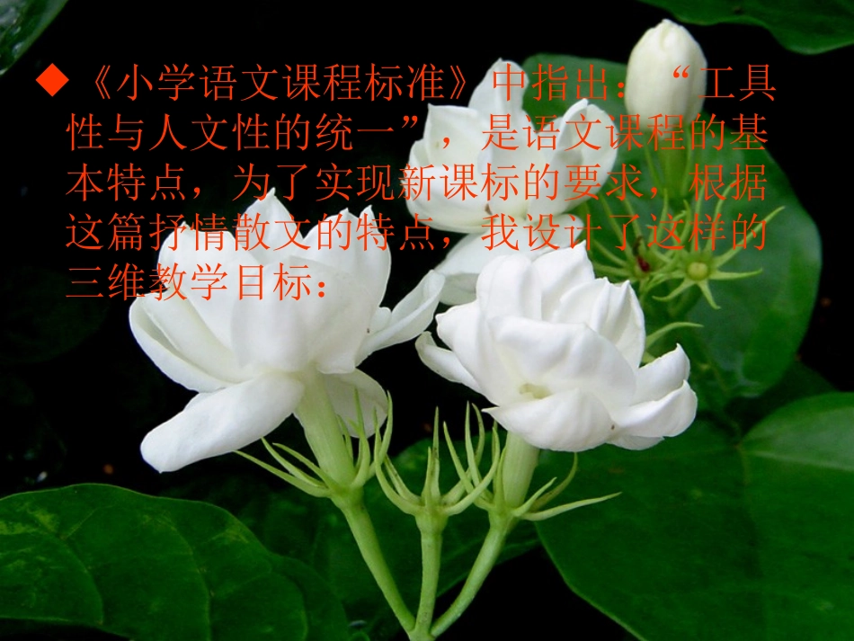 《爱如茉莉》说课2_第3页