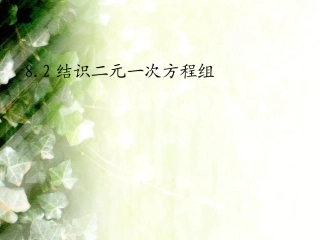 结识二元一次方程组
