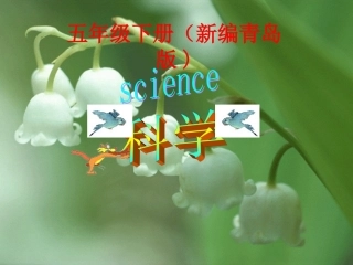 青岛版小学科学五年级下册实验操作-