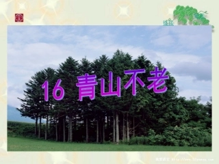 《青山不老》教学参考课件