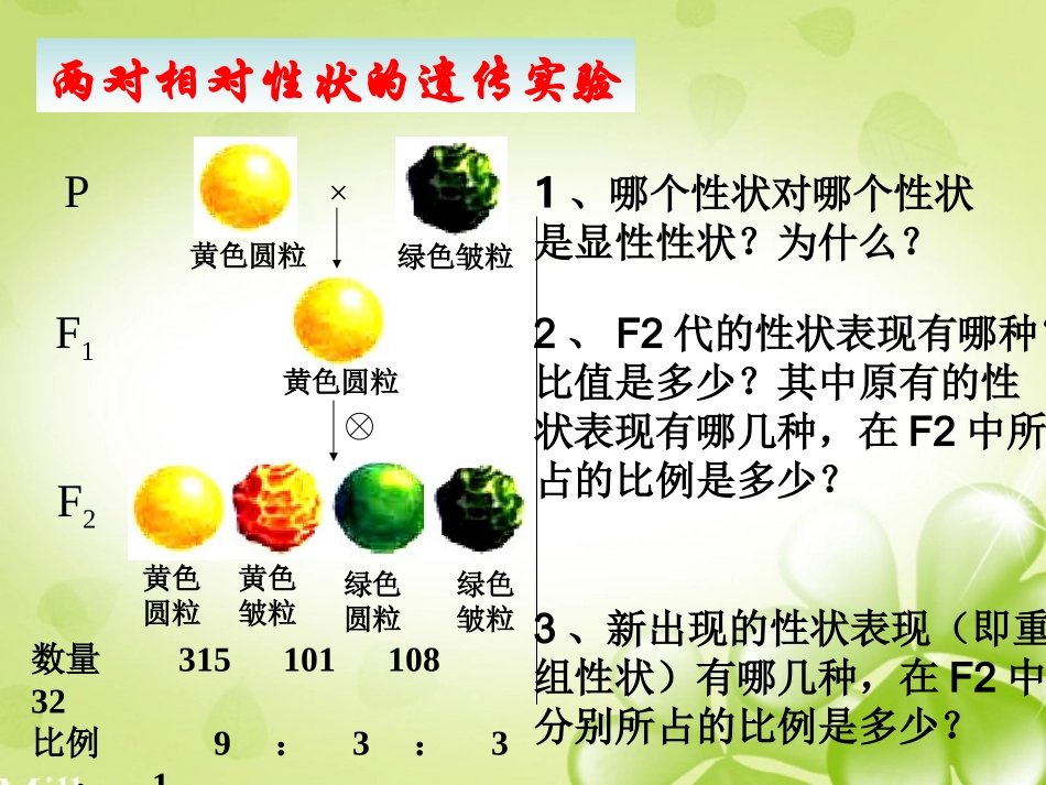 第二节--孟德尔的豌豆杂交实验(二)_第2页