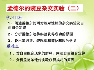 第二节--孟德尔的豌豆杂交实验(二)