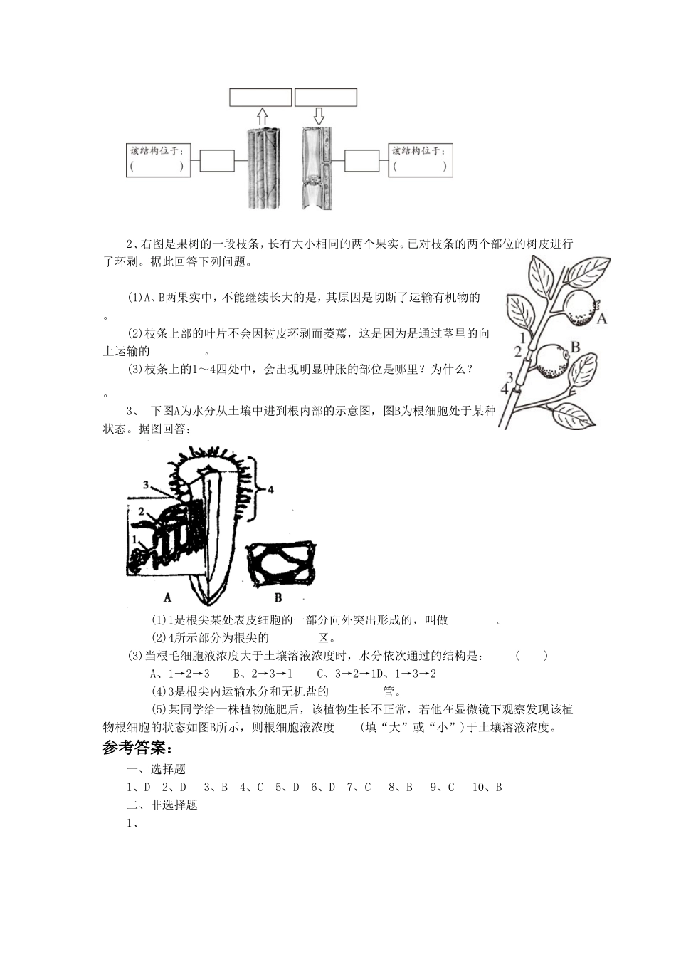 《第一节--水分进入植物体内的途径》同步练习1_第2页