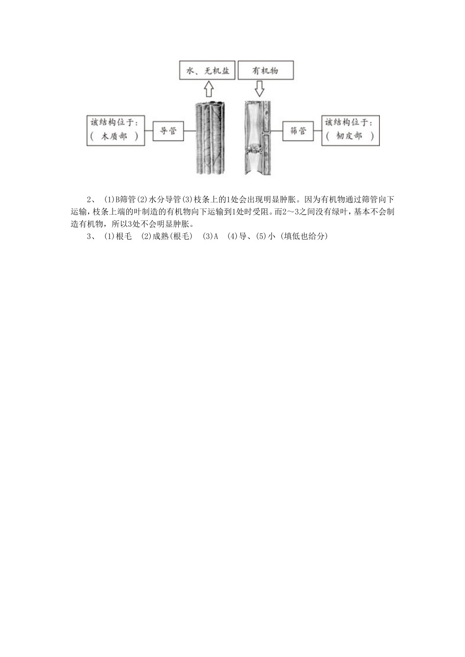 《第一节--水分进入植物体内的途径》同步练习1_第3页