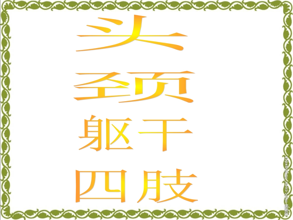 青岛版小学科学《骨骼》课件_第2页