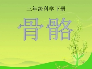 青岛版小学科学《骨骼》课件