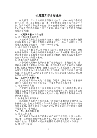 财务-----试用期工作总结报告