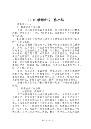 12.28禁毒宣传工作小结 (3)