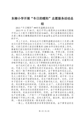 东柳小学开展“冬日的暖阳”志愿服务活动总结 (3)