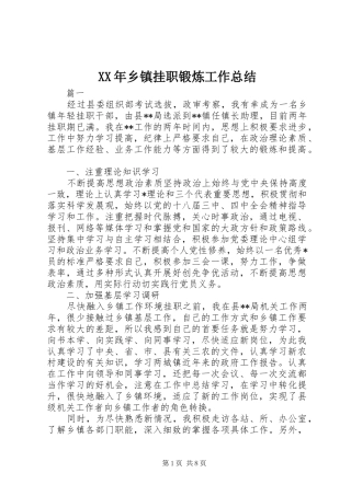 XX年乡镇挂职锻炼工作总结