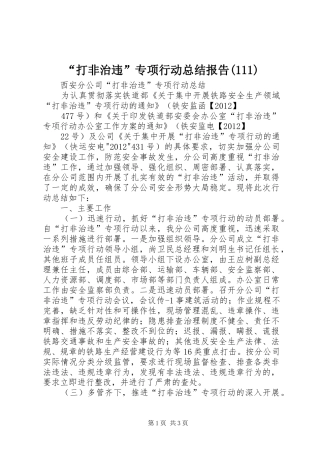 “打非治违”专项行动总结报告(113)