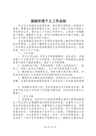 保险年度个人工作总结