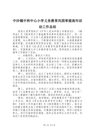 中沙镇中和中心小学义务教育巩固率提高年活动工作总结