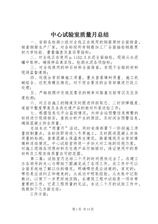 中心试验室质量月总结