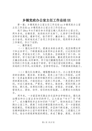 乡镇党政办公室主任工作总结XX