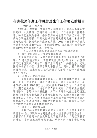 信息化局年度工作总结及来年工作要点的报告