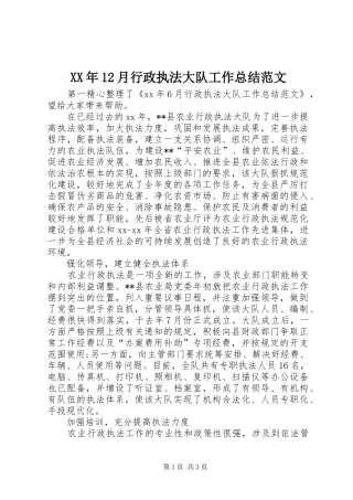 XX年12月行政执法大队工作总结范文