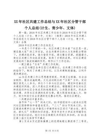 XX年社区共建工作总结与XX年社区分管干部个人总结(计生、青少年、文体)