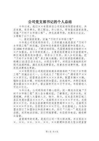 公司党支部书记的个人总结