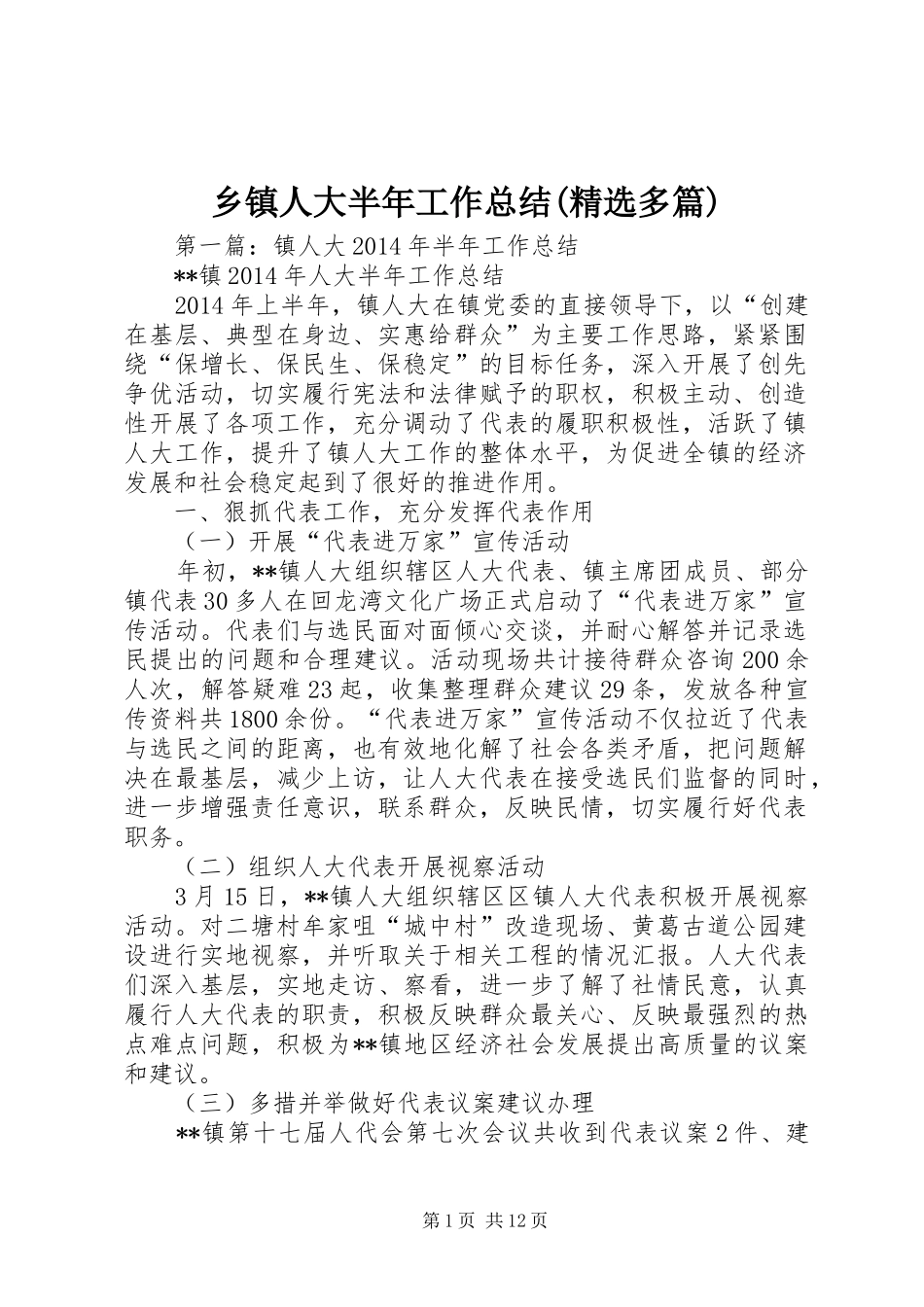 乡镇人大半年工作总结(精选多篇)_第1页