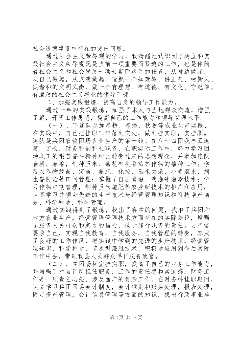 乡党委副书记XX年度挂职个人工作总结_第2页