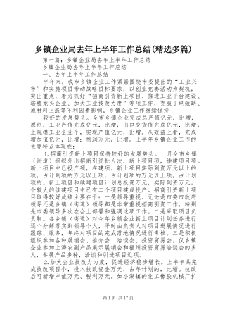 乡镇企业局去年上半年工作总结(精选多篇)