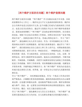 [两个维护方面存在问题] 两个维护查摆问题 