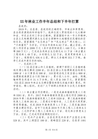 XX年林业工作半年总结和下半年打算