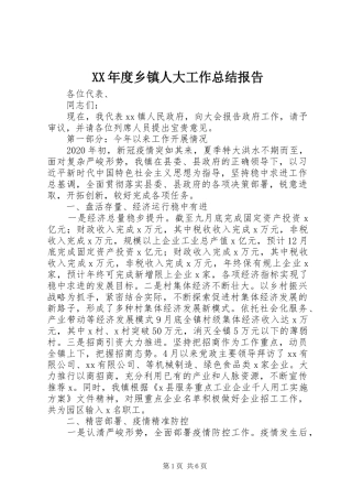 XX年度乡镇人大工作总结报告