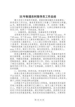 XX年街道农村指导员工作总结