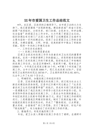 XX年市爱国卫生工作总结范文