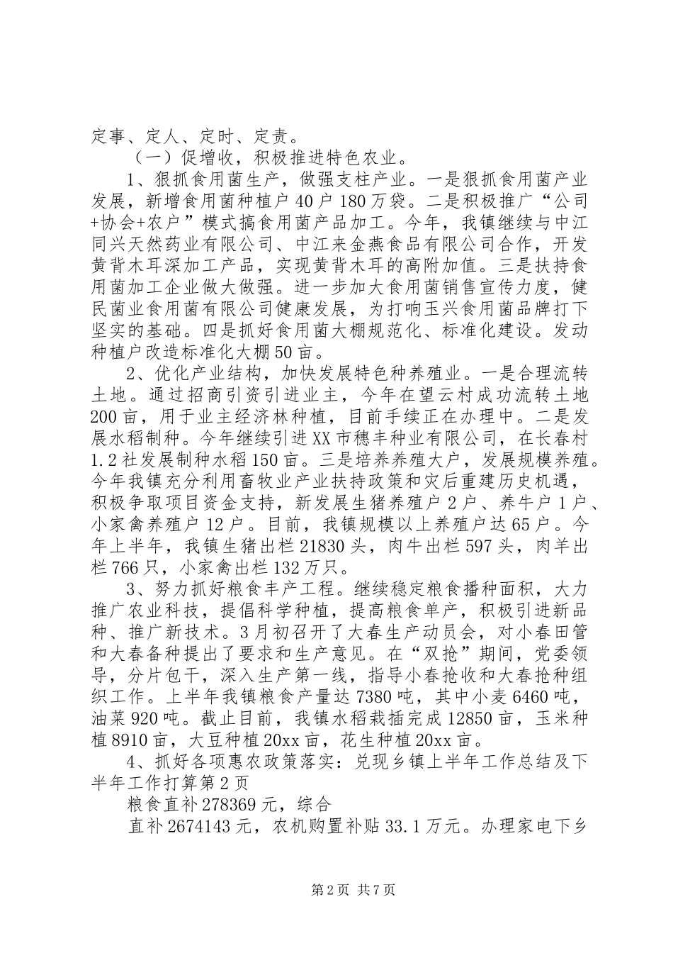 乡镇上半年工作总结及下半年工作打算 (3)_第2页