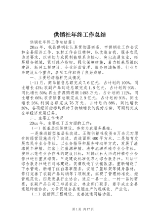 供销社年终工作总结 (3)