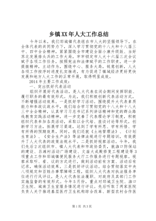 乡镇XX年人大工作总结