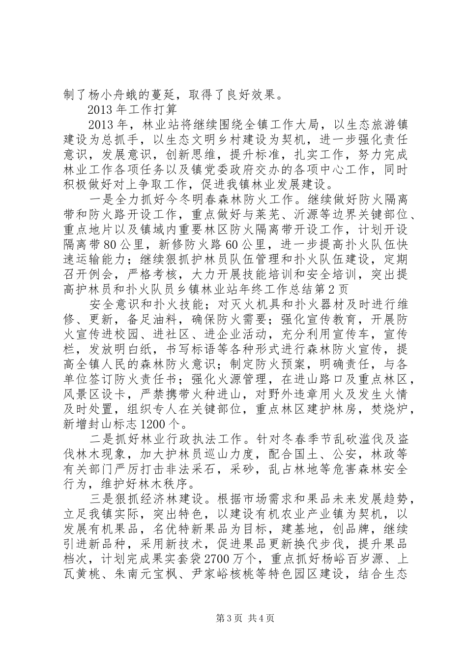 乡镇林业站年终工作总结 (3)_第3页