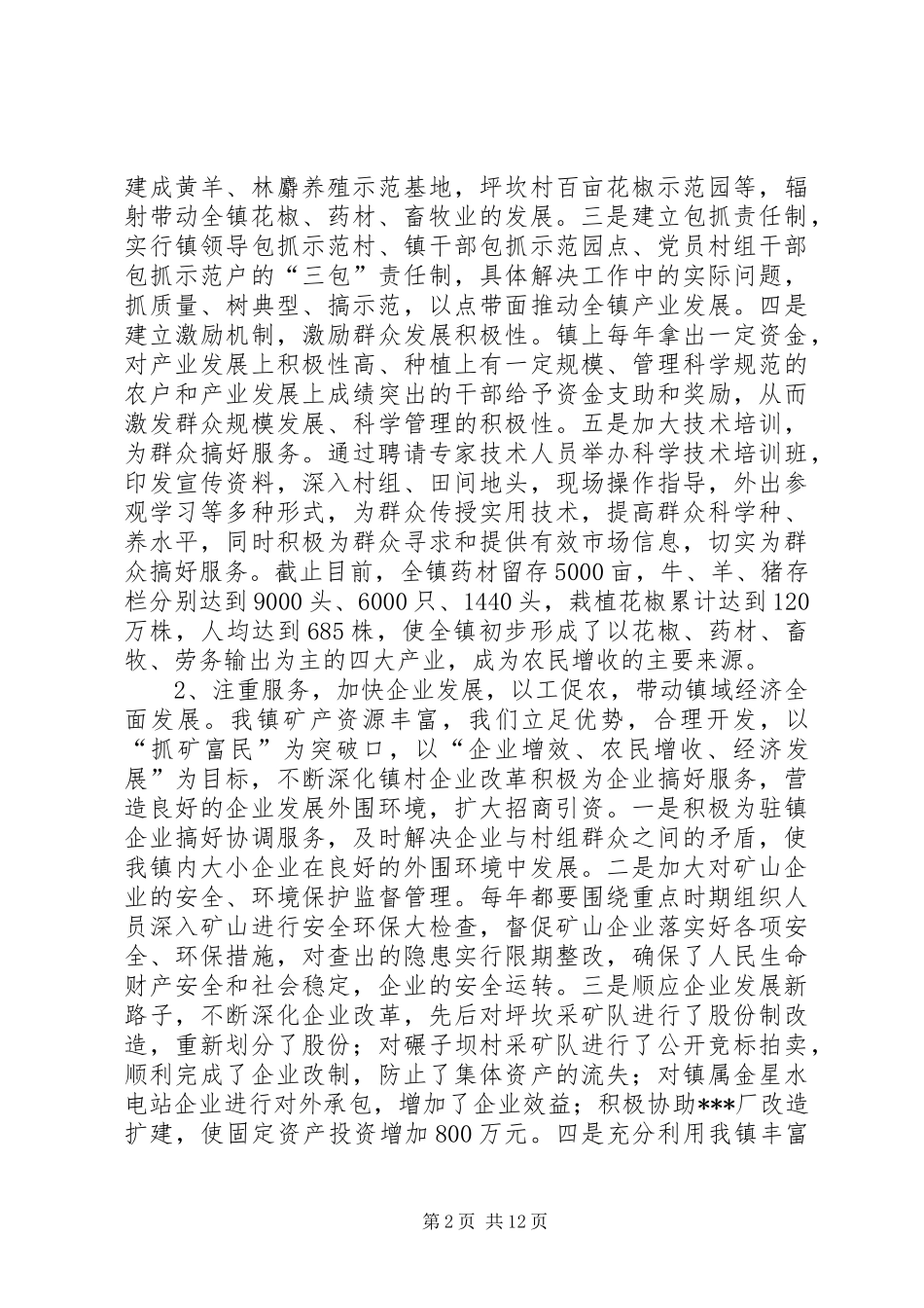 乡镇党委班子届期工作总结_第2页