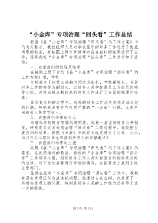 “小金库”专项治理“回头看”工作总结 (3)