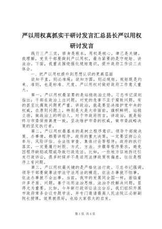 严以用权真抓实干研讨发言汇总县长严以用权研讨发言