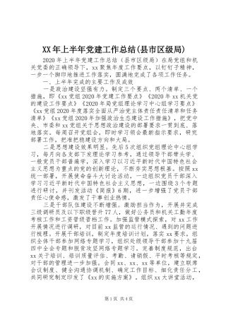XX年上半年党建工作总结(县市区级局)