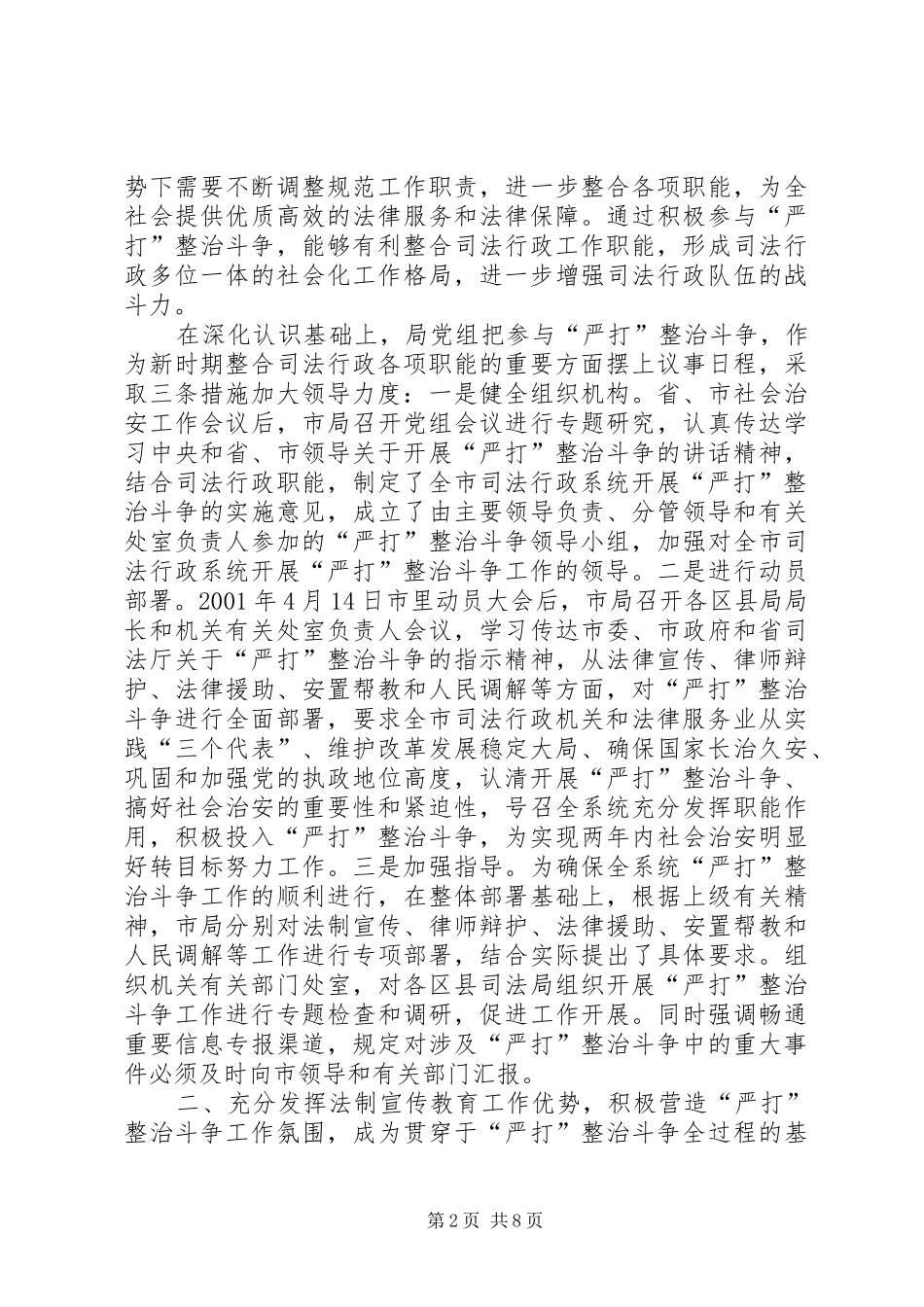 严打整治斗争工作总结 (3)_第2页