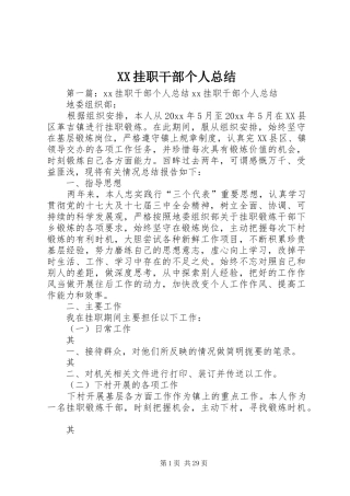 XX挂职干部个人总结