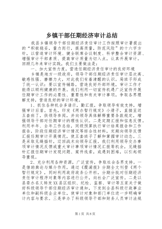 乡镇干部任期经济审计总结