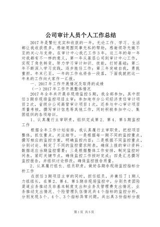 公司审计人员个人工作总结