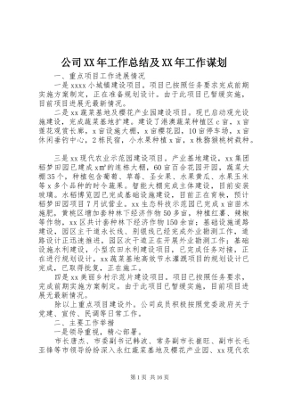 公司XX年工作总结及XX年工作谋划